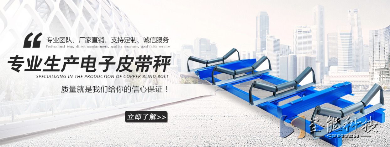 <a href='http://m.bhwkg.cn' target='_blank'><u>皮帶秤廠家</u></a>