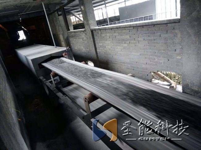 圣能科技<a href='http://m.bhwkg.cn' target='_blank'><u>電子皮帶秤</u></a>項(xiàng)目
