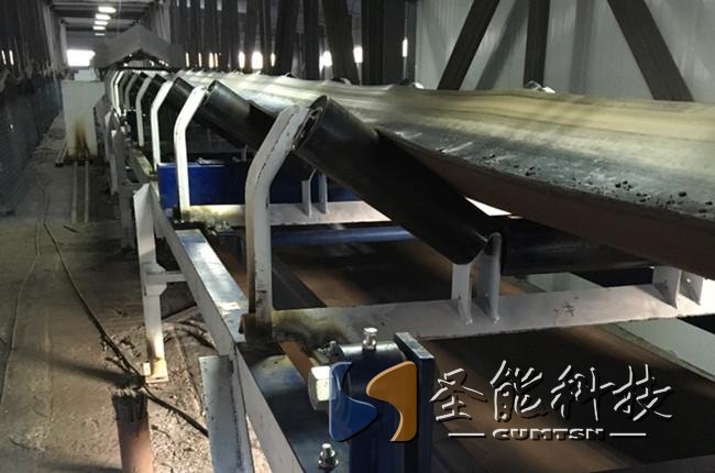 圣能科技<a href='http://m.bhwkg.cn/' target='_blank'><u>皮帶秤</u></a>案例